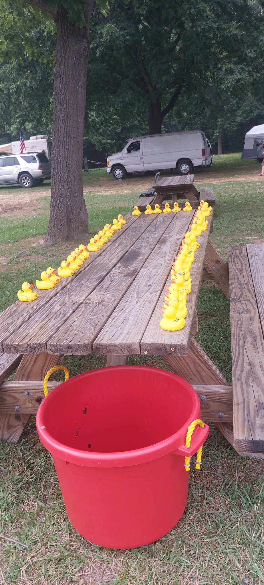 505471723_2829452837239126_8686420116148240051_n